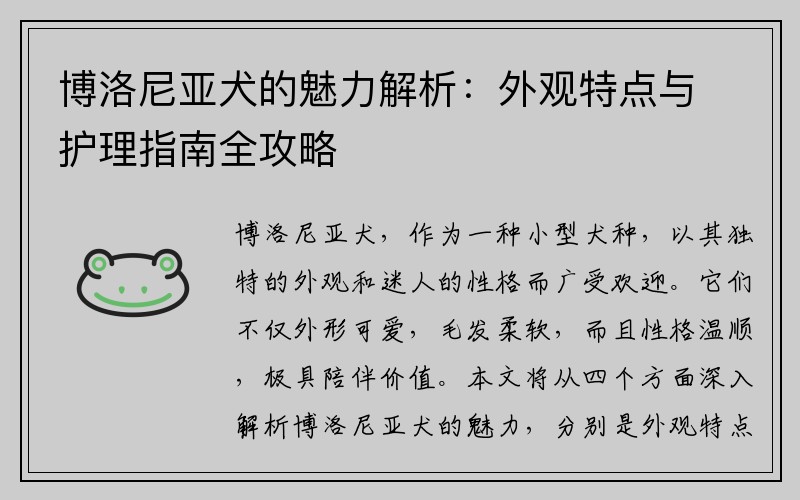 博洛尼亚犬的魅力解析：外观特点与护理指南全攻略